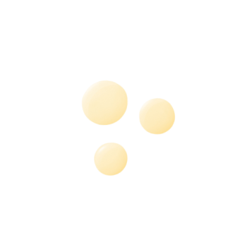 6 6